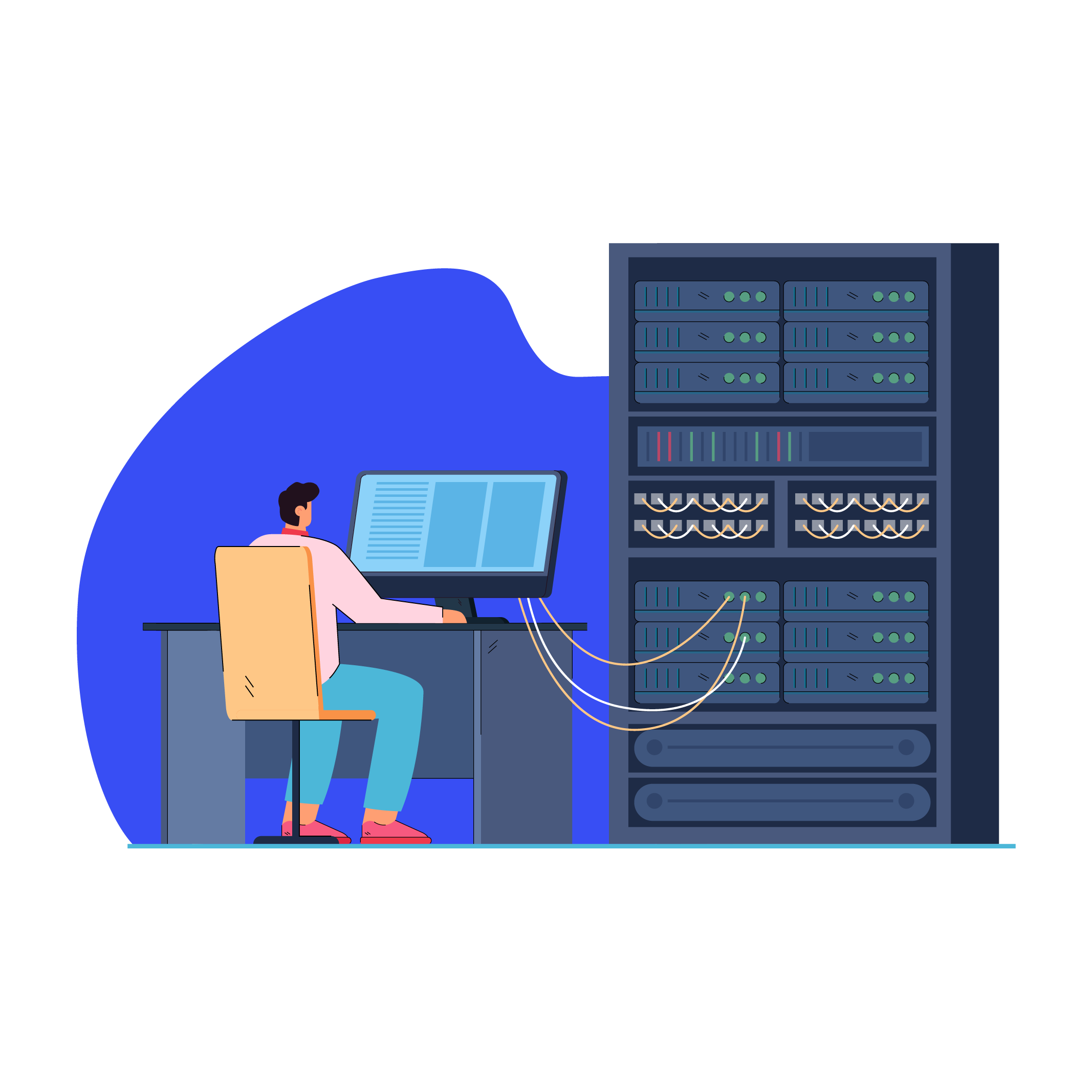 Computer Network Architect